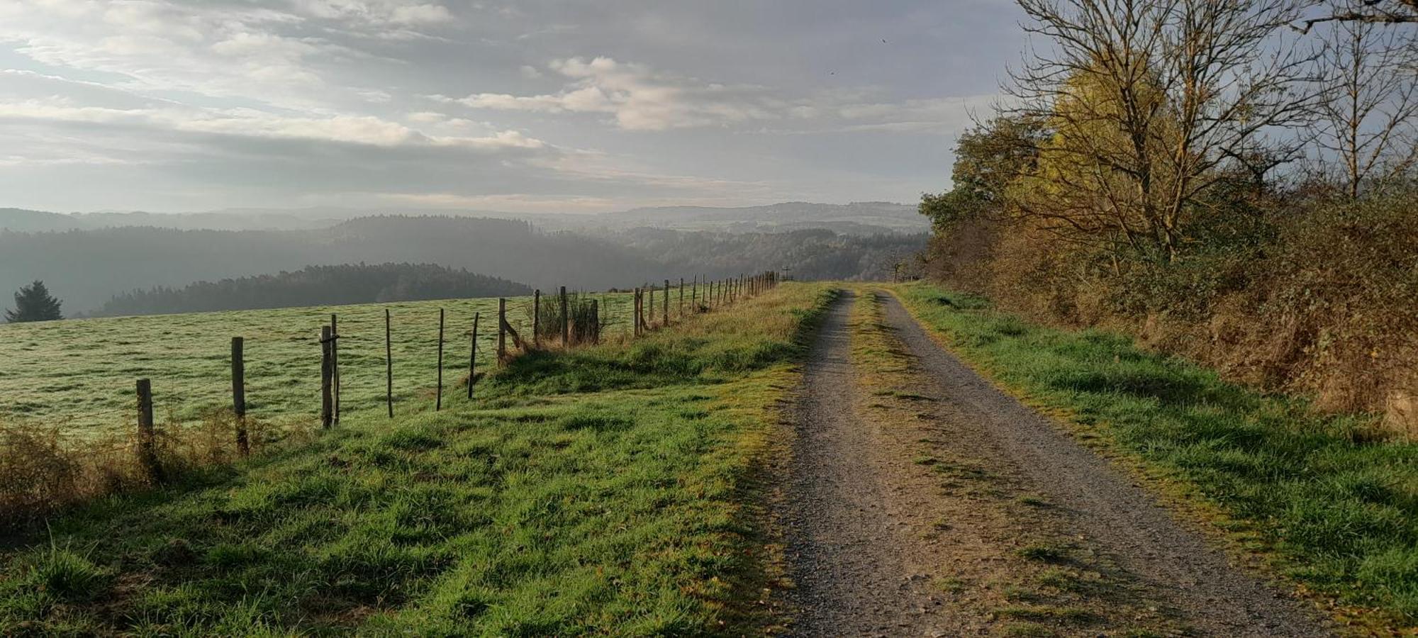 Appartamento Relais Des Gorges De La Truyere Anglards de Saint Flour Esterno foto